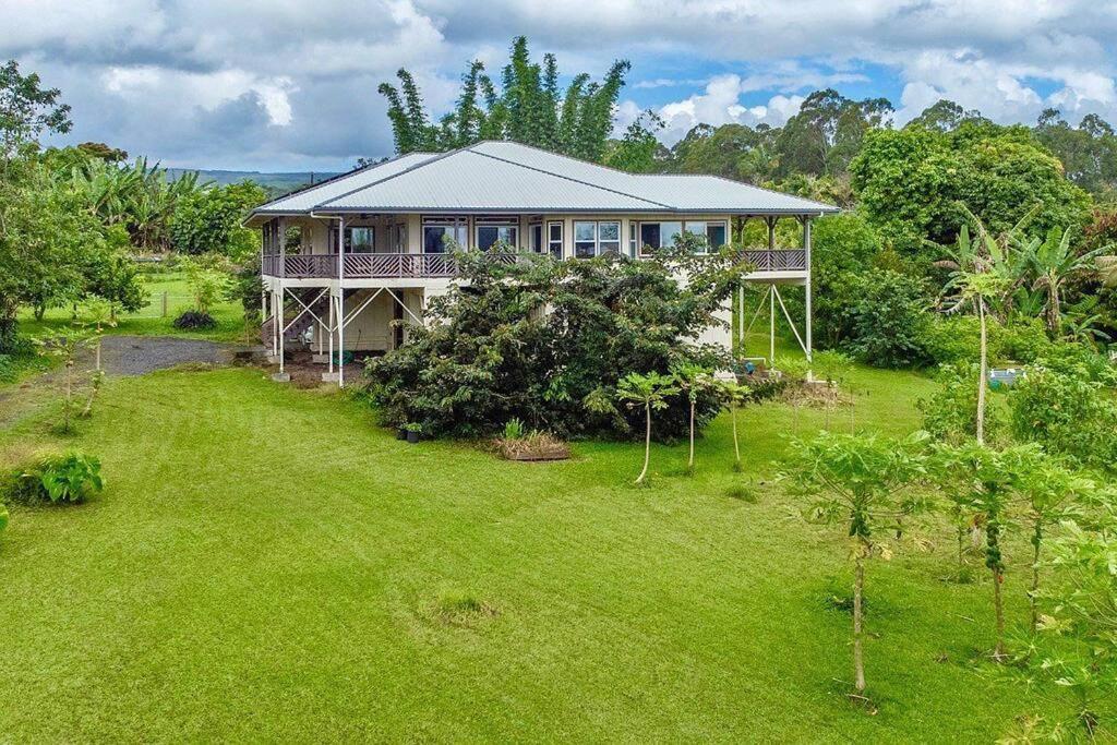 The Honomu House - Gorgeous, Spacious 4Bd2Ba Home Near Waterfalls And Hilo, Sleeps 12! Eksteriør billede