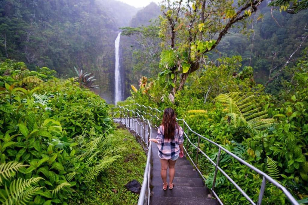 The Honomu House - Gorgeous, Spacious 4Bd2Ba Home Near Waterfalls And Hilo, Sleeps 12! Eksteriør billede