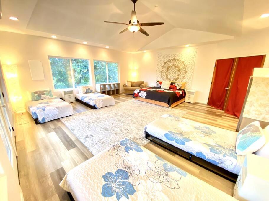 The Honomu House - Gorgeous, Spacious 4Bd2Ba Home Near Waterfalls And Hilo, Sleeps 12! Eksteriør billede